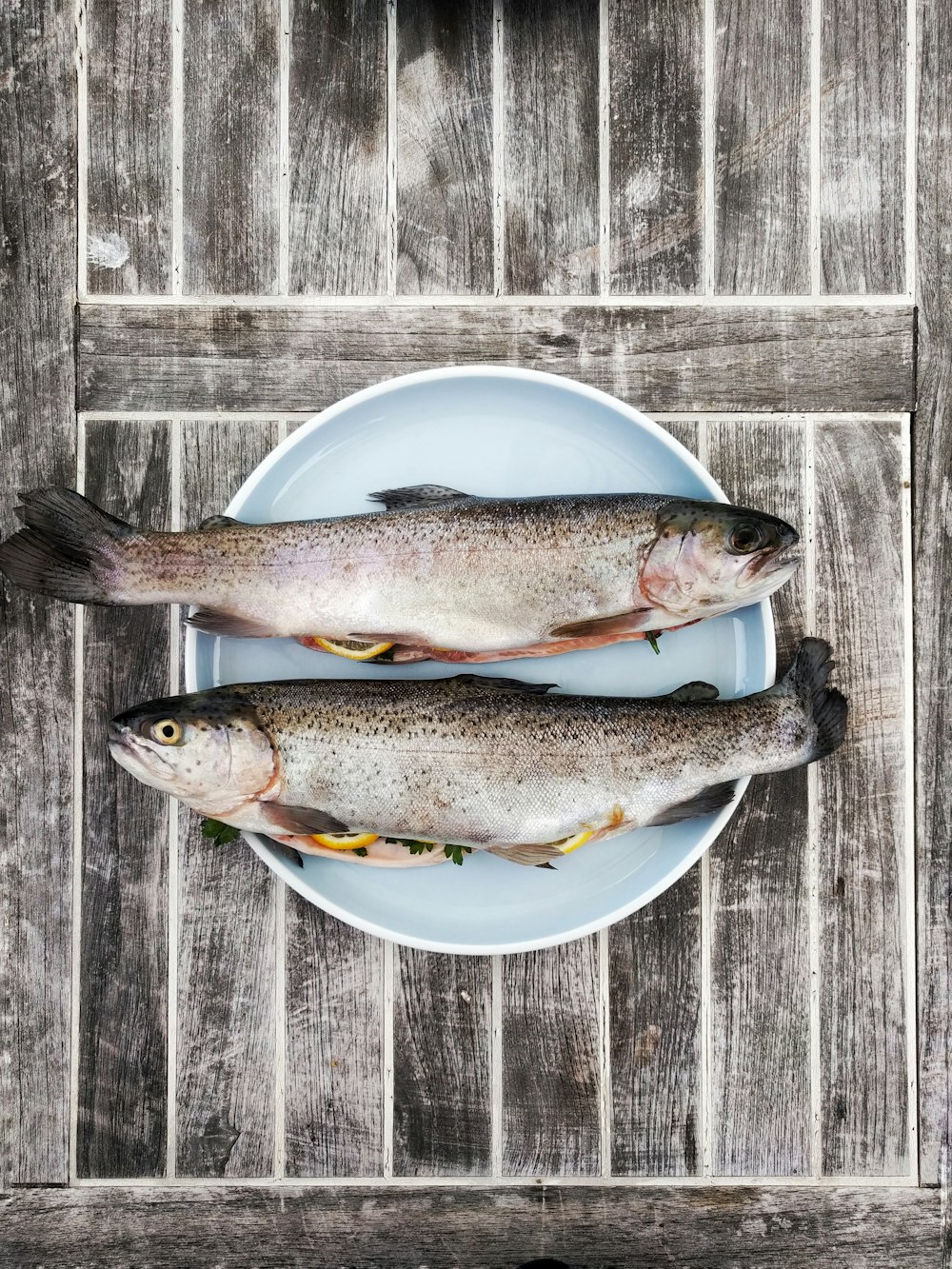 둥근 흰색 세라믹 접시에 두 마리의 은색 물고기