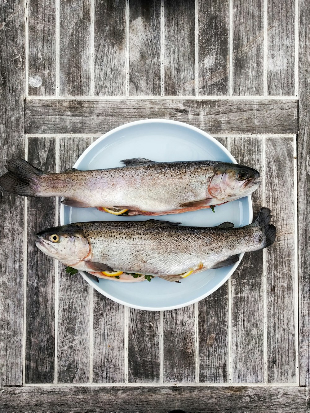 zwei silberne Fische auf runder weißer Keramikplatte