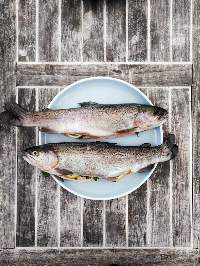 Alaska Fishery