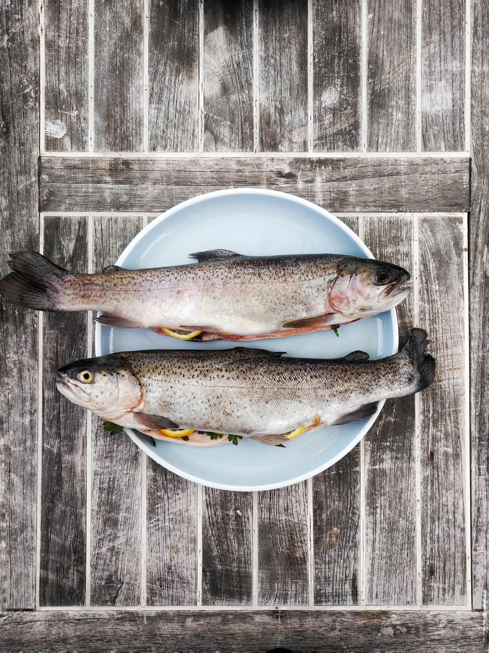 Premium white fish
