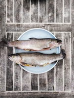 Ikan Segar