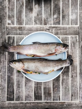 food photography,how to photograph two silver fishes on round white ceramic plate