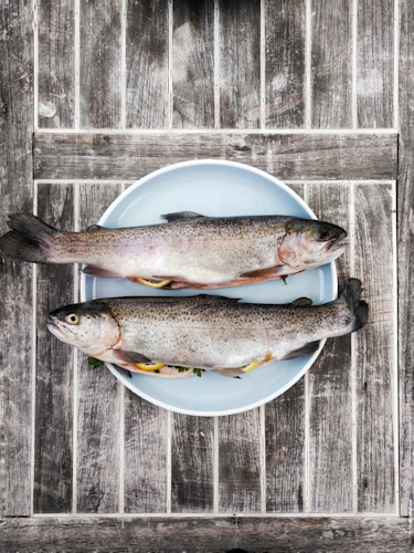 Top 10 Health Benefits of Eating Fish Regularly