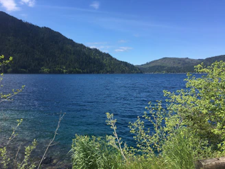 A serene Michigan lake bordered by lush green trees under a clear blue sky.