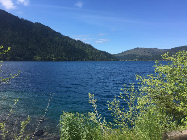 A serene Michigan lake bordered by lush green trees under a clear blue sky.