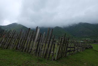Rustic wooden fences enclosing cattle with the misty mountains in the background.