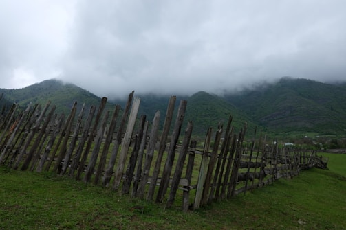 Rustic wooden fences enclosing cattle with the misty mountains in the background.