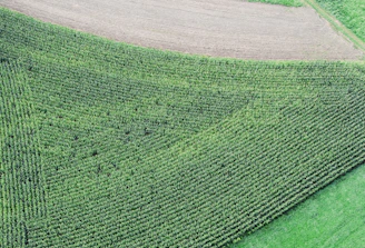 A colorful 3D terrain model of farmland showing elevation changes.