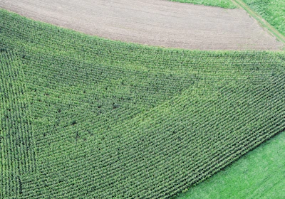 A colorful 3D terrain model of farmland showing elevation changes.
