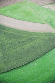 Bird’s-eye view of farmland patchwork with vibrant colors.