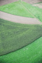 A colorful 3D terrain model of farmland showing elevation changes.