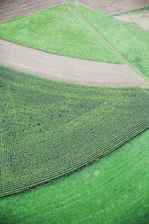 Abstract satellite-style lines overlaying a green and earth-toned farmland pattern representing GNSS field accuracy.