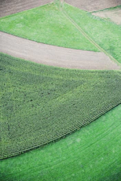 Aerial view of a green landscape with geological survey team working in the field.