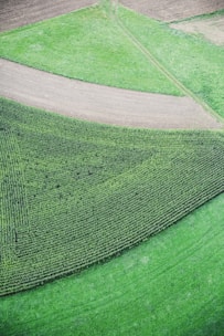 An aerial view of a landscape featuring a patchwork of vibrant green fields and brownish plowed land. The fields are separated by distinct lines, creating a geometric pattern across the terrain.