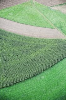 A drone’s eye view of a patchwork of diverse crop fields, illustrating sustainable farming practices.