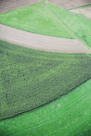 A drone’s eye view of a patchwork of diverse crop fields, illustrating sustainable farming practices.