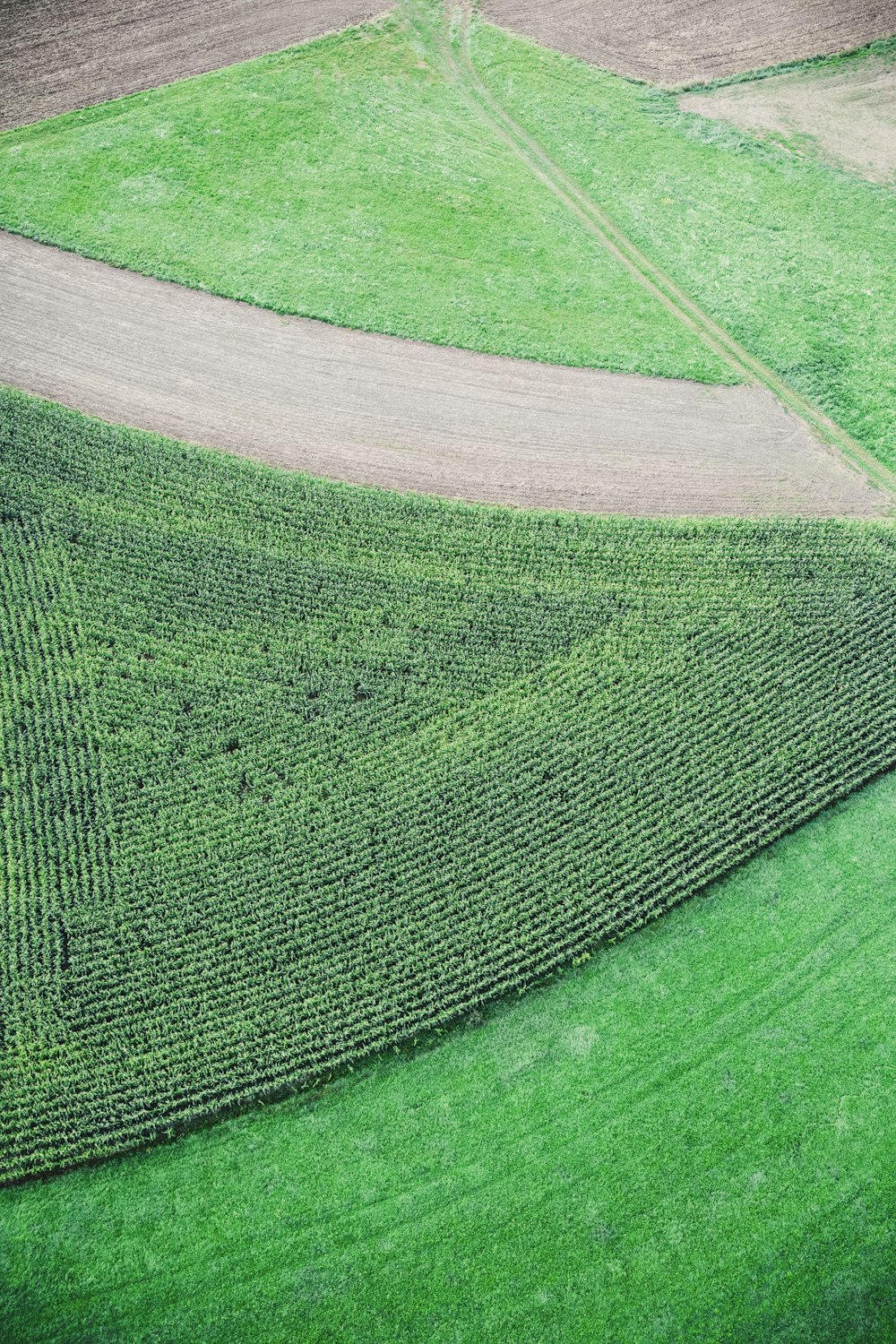 aerial view of green grass field