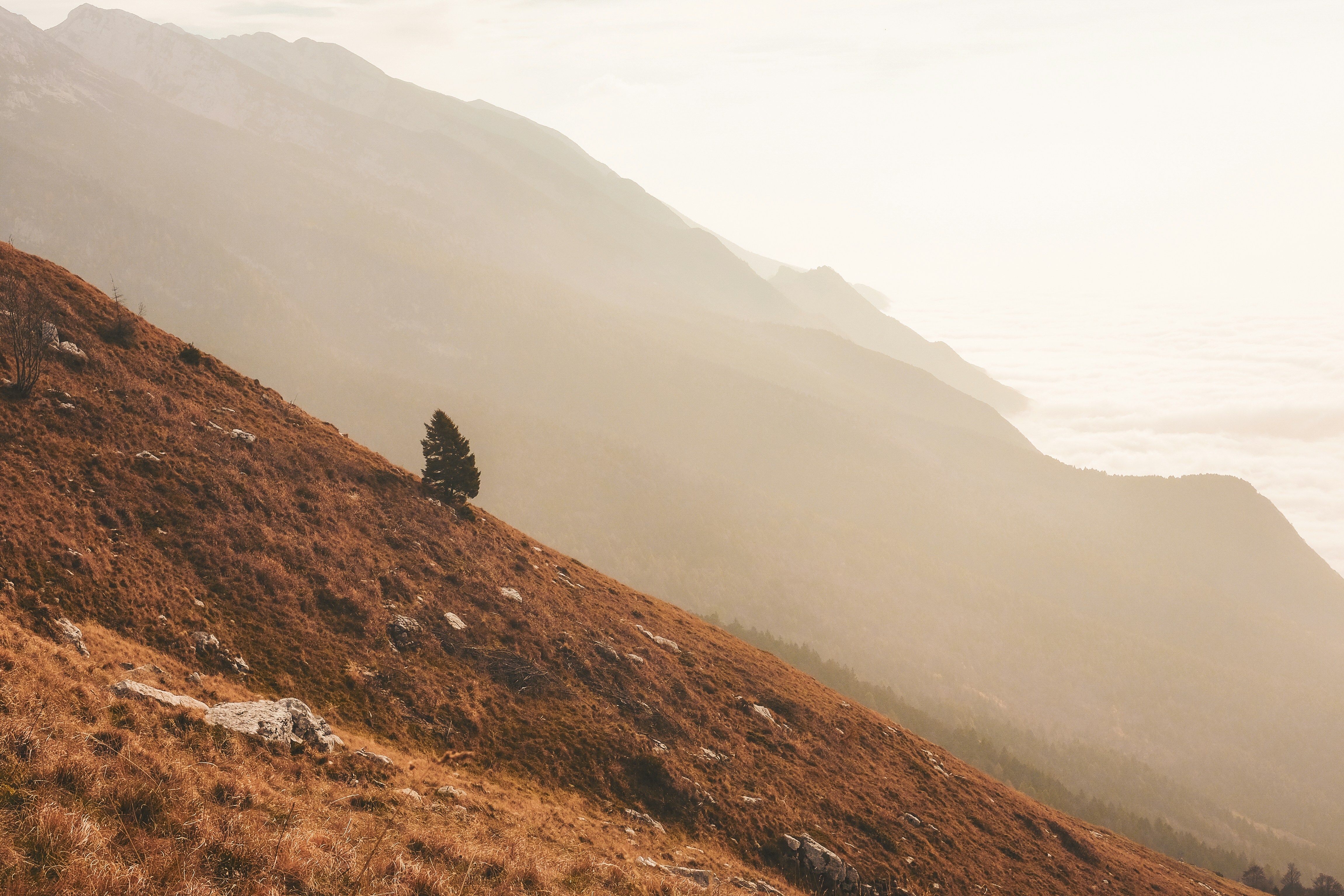 Photo by cristina_gottardi