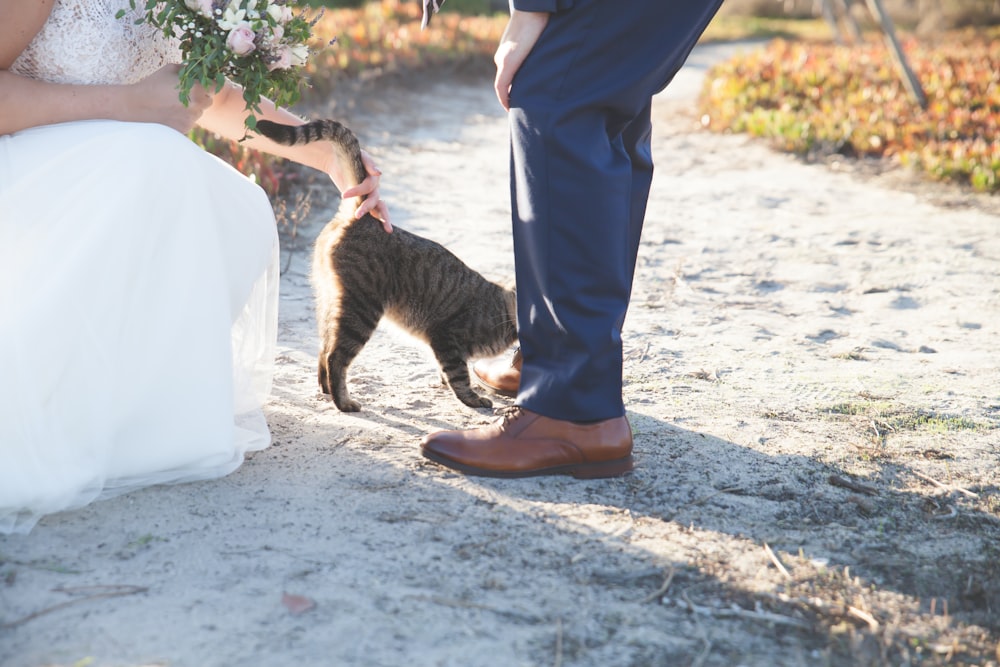 silver tabby cat near human's feet