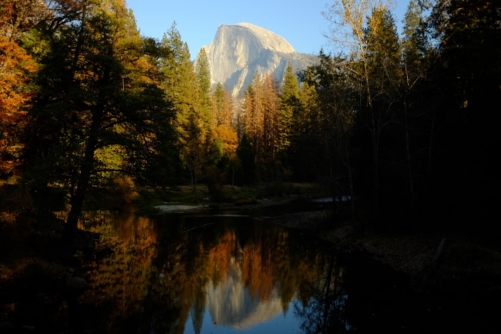 still body of water surrounded by trees near mountain