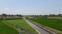 Farmland with lush green fields stretching towards the horizon, bordered by a narrow irrigation canal. Cornfields are visible on one side, with an arrangement of agricultural plots and sparse trees in the distance under a clear blue sky.