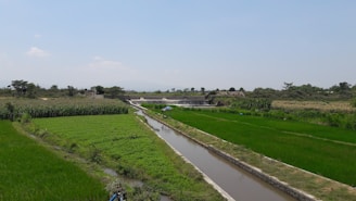 Farmland with lush green fields stretching towards the horizon, bordered by a narrow irrigation canal. Cornfields are visible on one side, with an arrangement of agricultural plots and sparse trees in the distance under a clear blue sky.