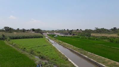 Lush green farm land with irrigation canals and distant hills.