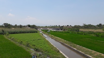 Farmland with lush green fields stretching towards the horizon, bordered by a narrow irrigation canal. Cornfields are visible on one side, with an arrangement of agricultural plots and sparse trees in the distance under a clear blue sky.