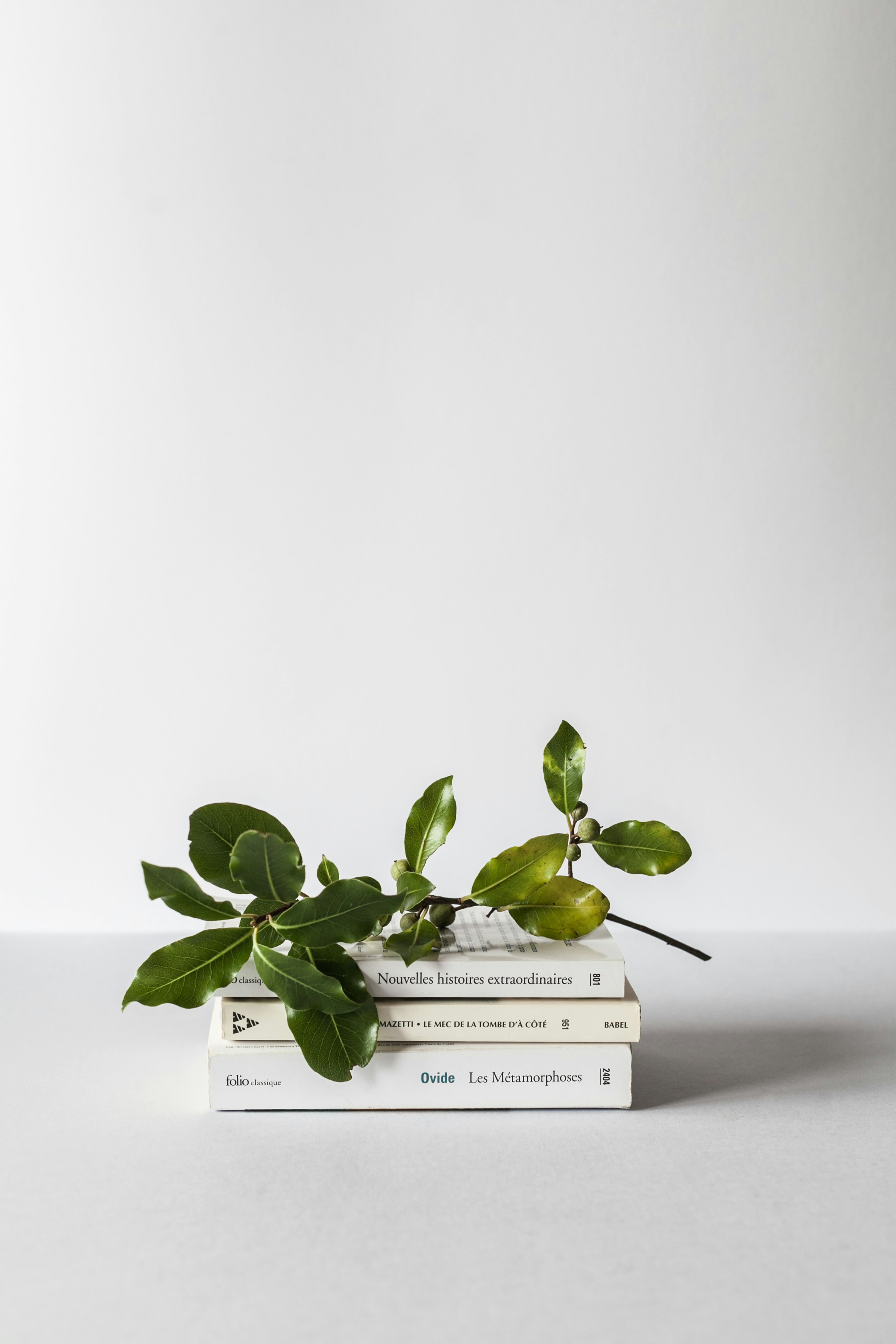 Showcase Your Book Today