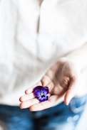 person holding purple flower
