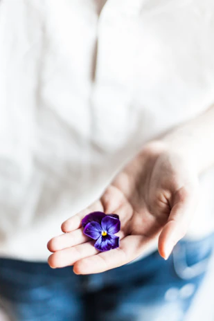 Close-up of hands holding a blooming purple flower, representing personal transformation.