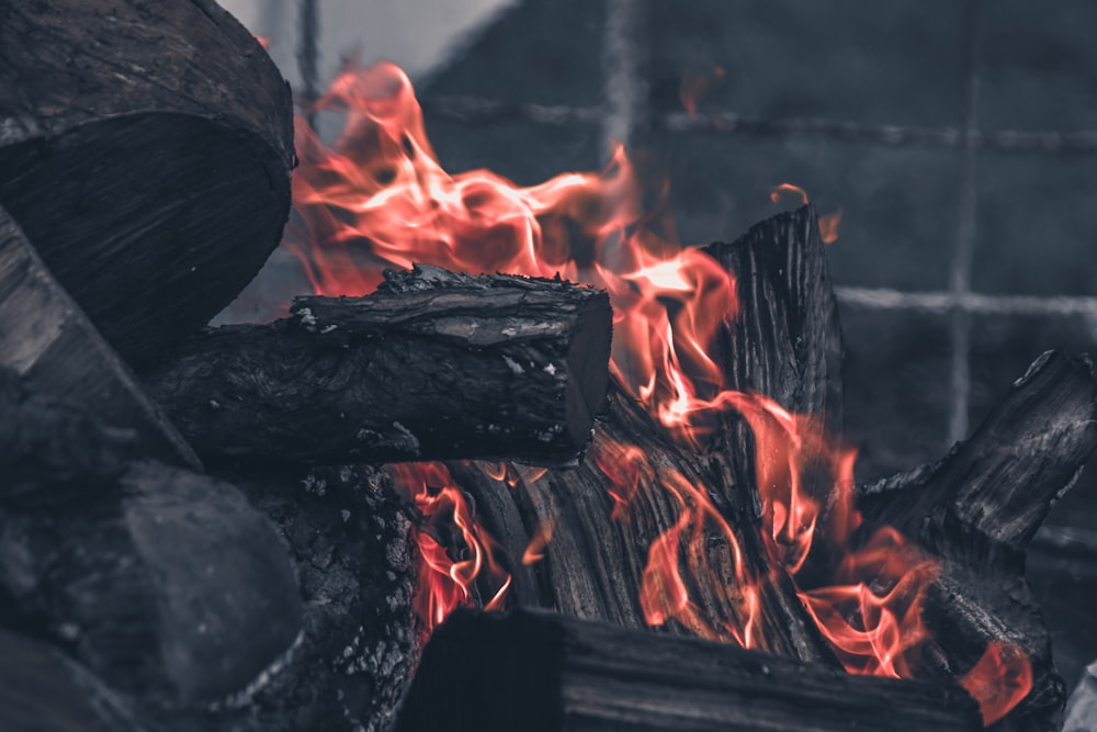 close up photo of wood charcoal on fire