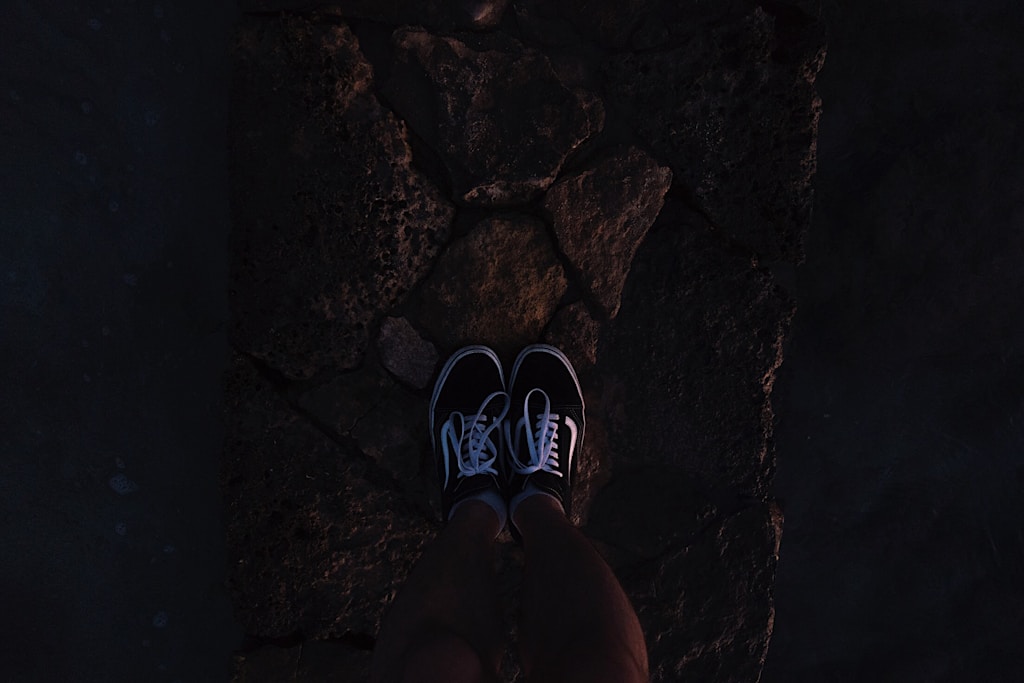 Mono Low-Top Sneakers