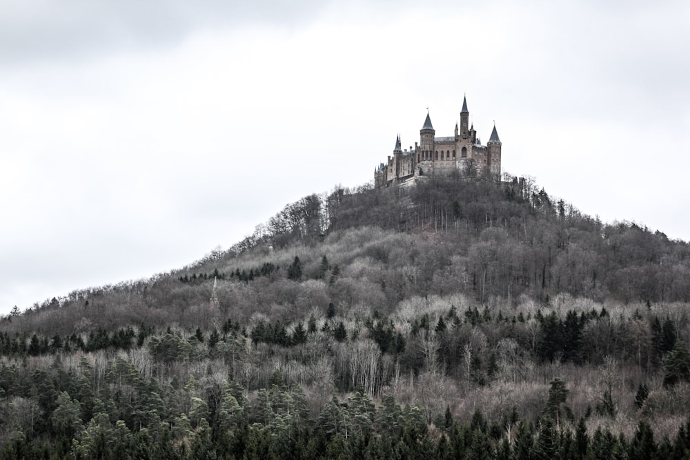 photo of castle on hill