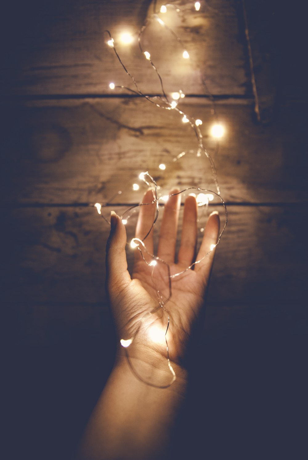 person holding white string light