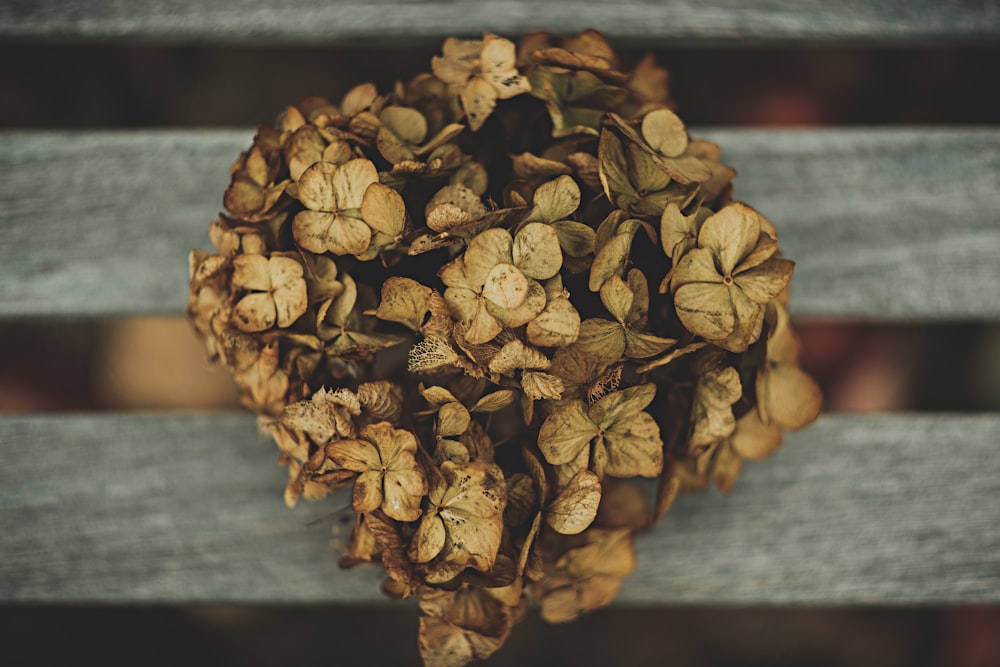 close up photography of withered flowers bouquet