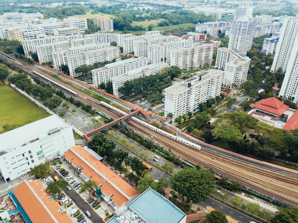 bird's eye view photo of city