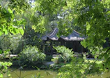 Outdoor meditation pavilion bathed in soft morning light with jungle backdrop.