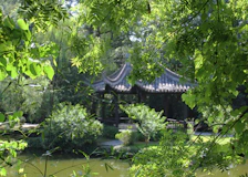 Outdoor meditation pavilion bathed in soft morning light with jungle backdrop.