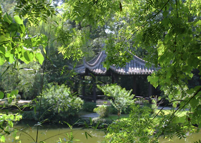A quiet meditation pavilion bathed in soft morning mist with lush greenery all around.