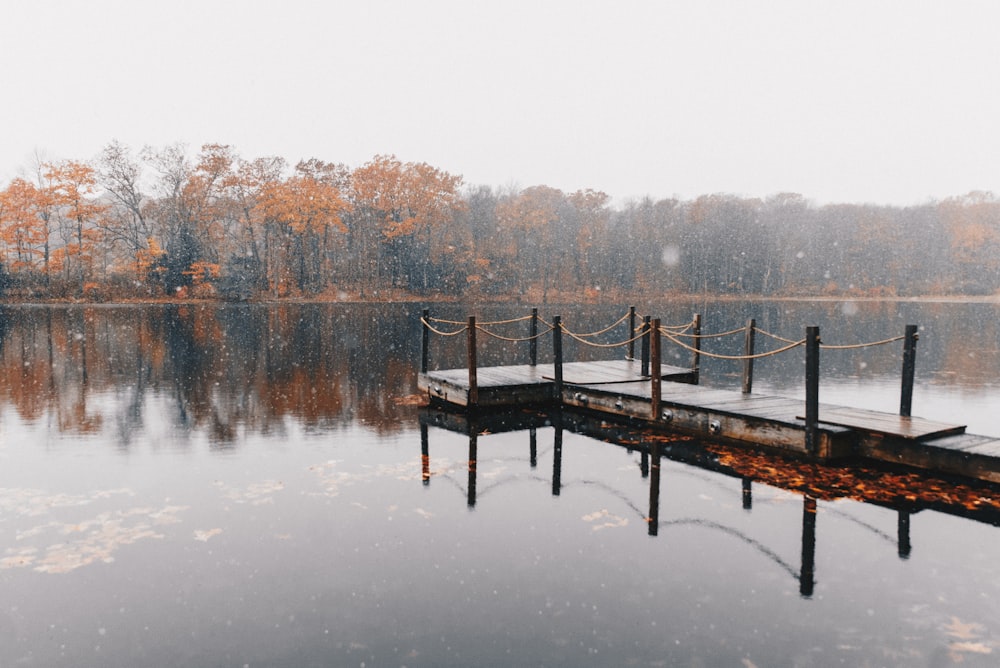 brown dock on body of water