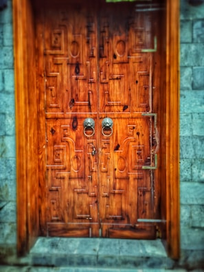 An intricately designed wooden door with geometric patterns carved into its surface. The door features a pair of ornate metal handles and is set within a stone wall structure. The wood has a rich, warm tone, and the stone wall contrasts with its cool gray hue.