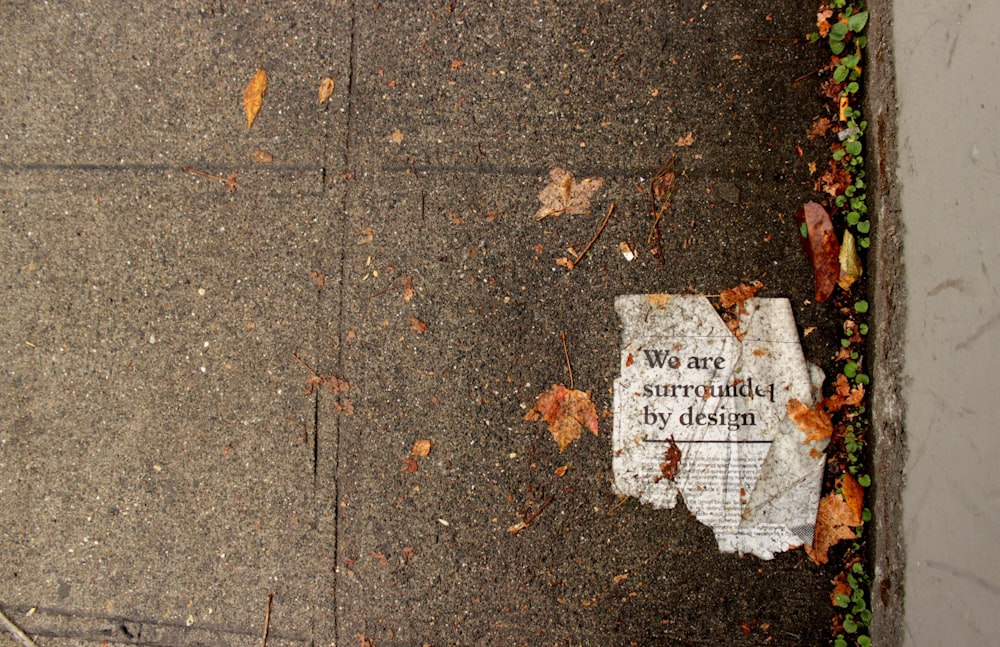 we are surrounded by design-printed newspaper on ground near dried leaves