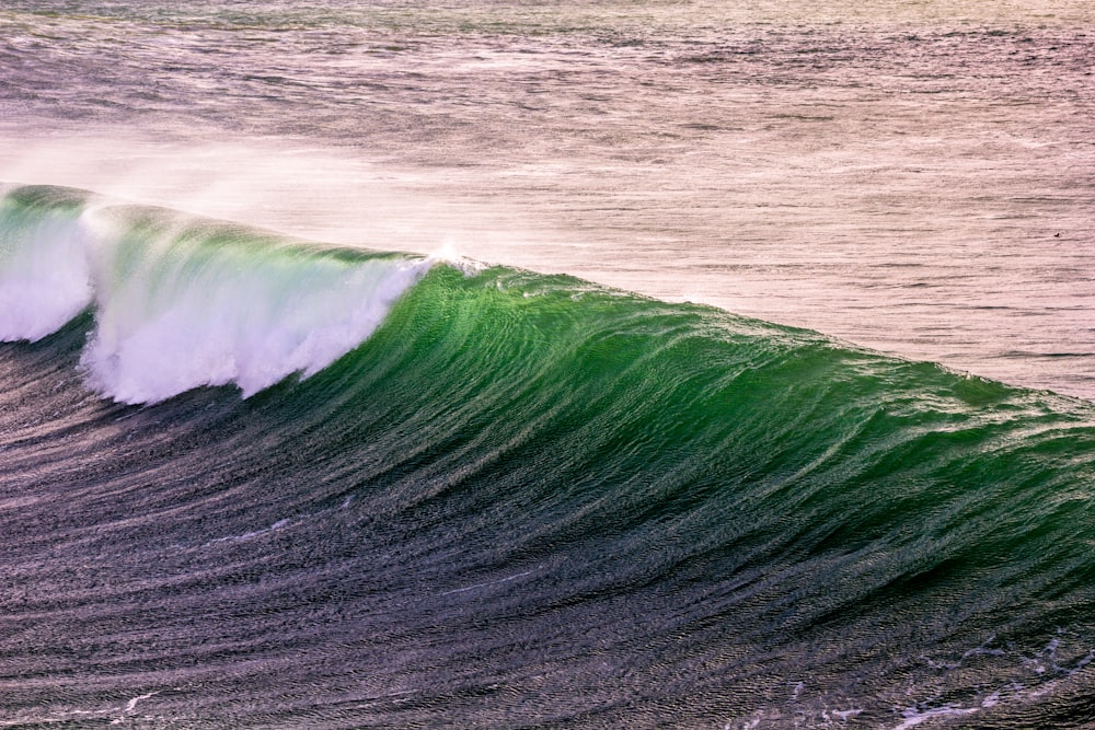 photo of barrel waves