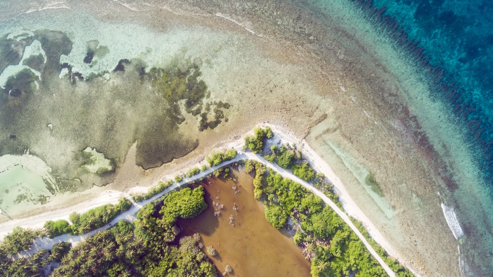 aerial photography of beach