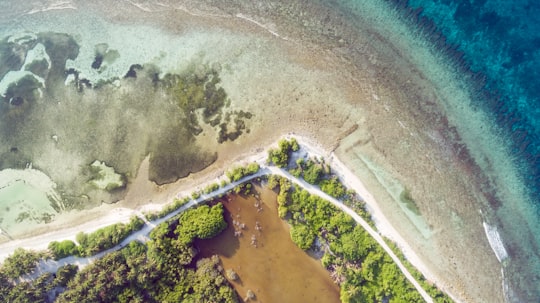 aerial photography of beach in Kulhudhuffushi Maldives