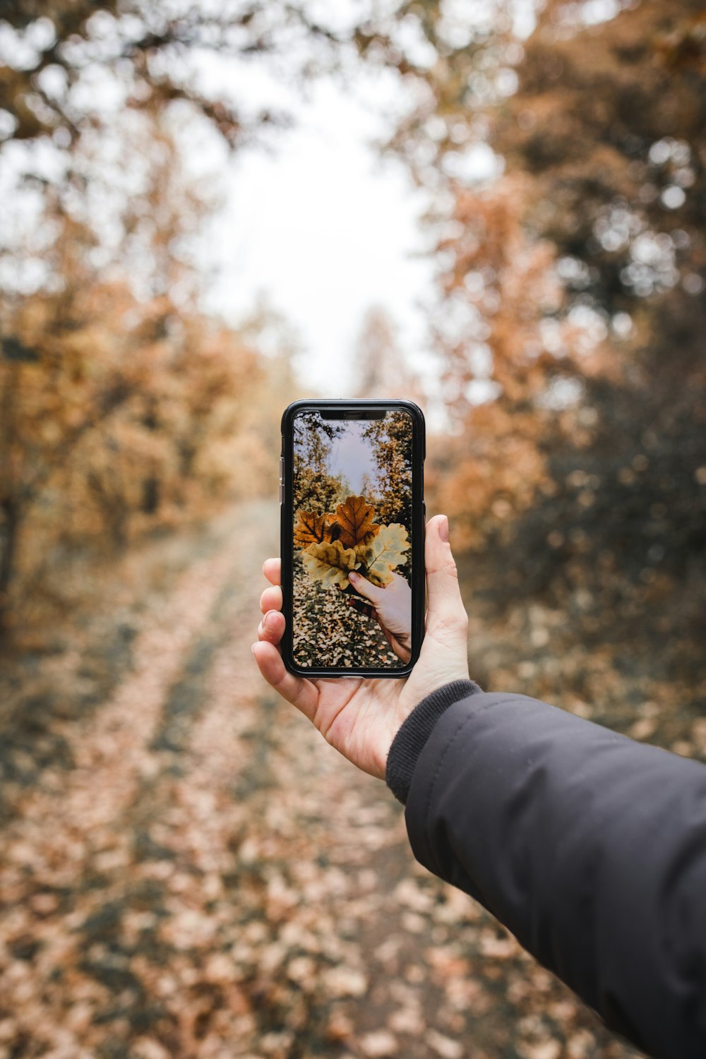 person holding black smartphone selective focus photography