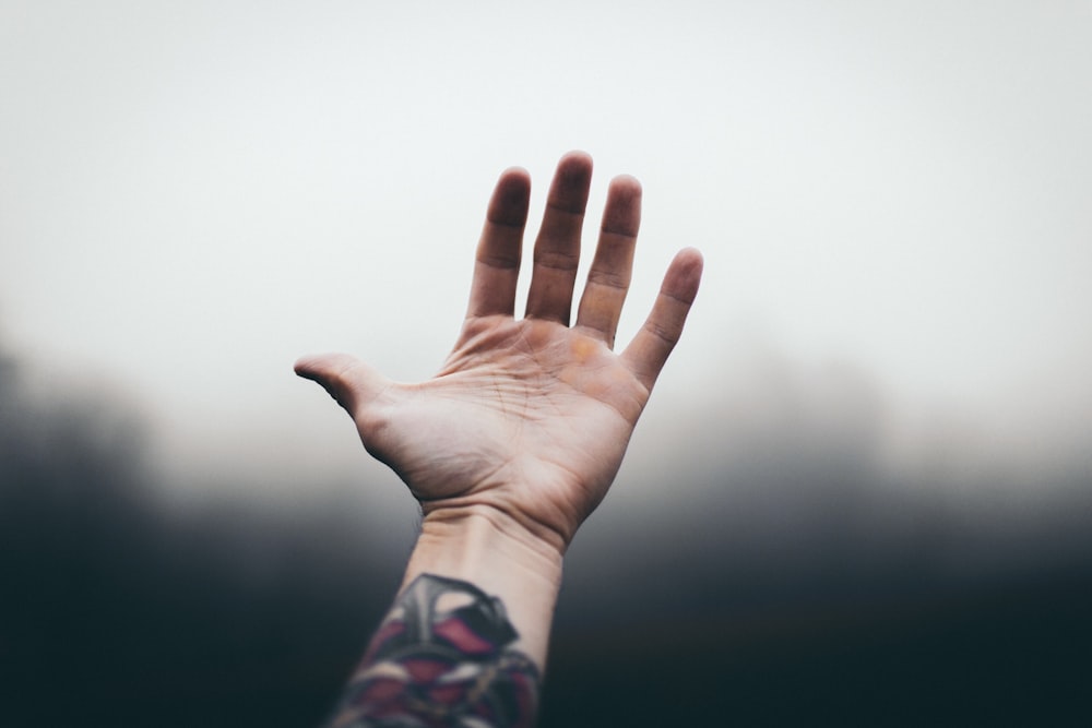 a person's hand reaching up into the air