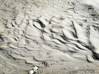 Sand shows patterns created by wind or water, with ripples and lines forming an intricate texture. Sparse vegetation is visible, and there are small patches of debris scattered across the surface.
