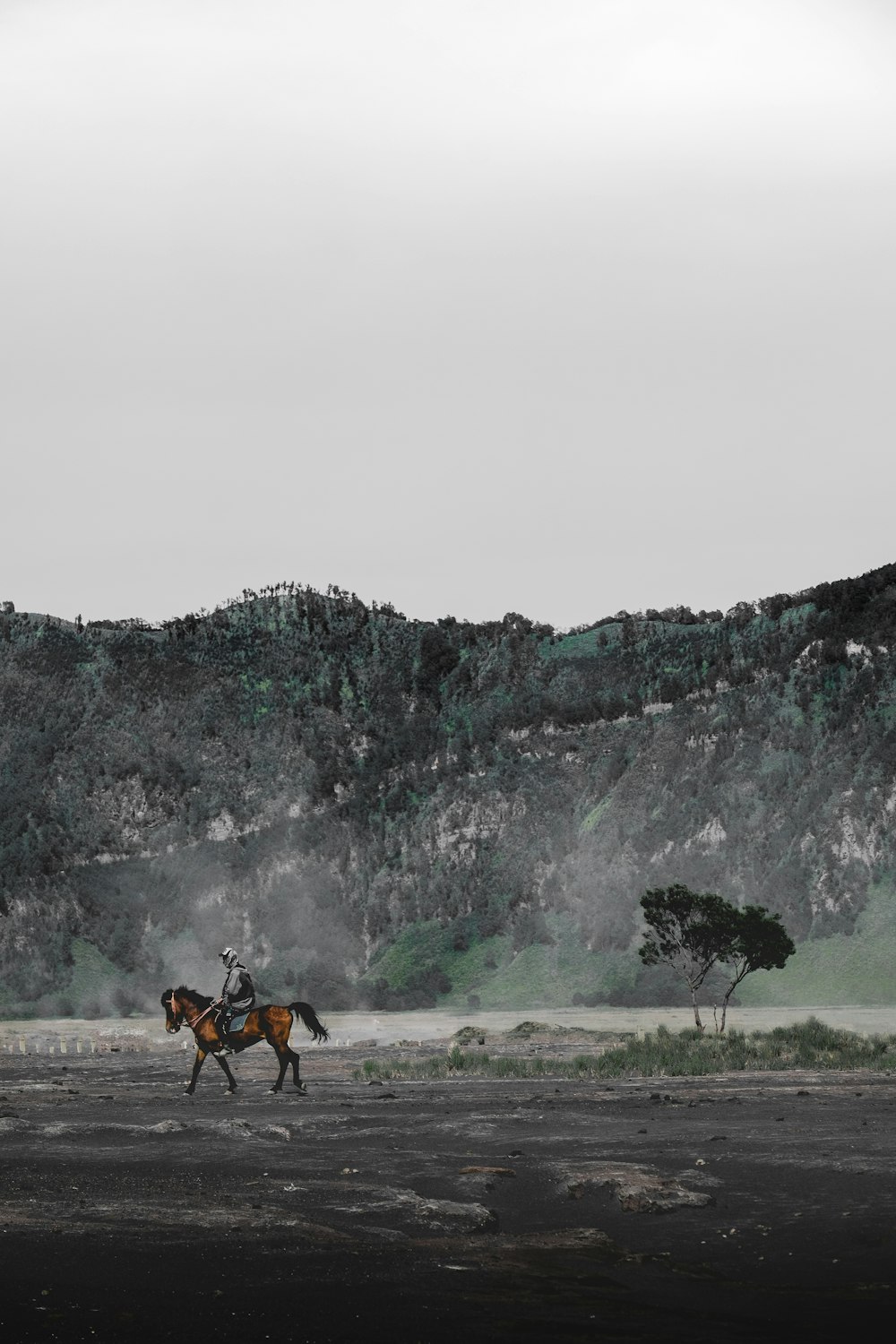 person riding on horse during daytime